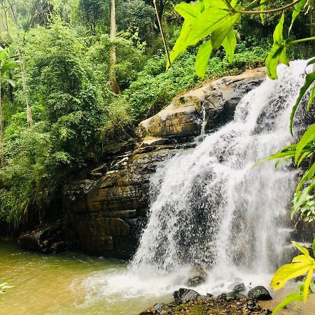 River Splendour Home Stay Ella Exterior foto