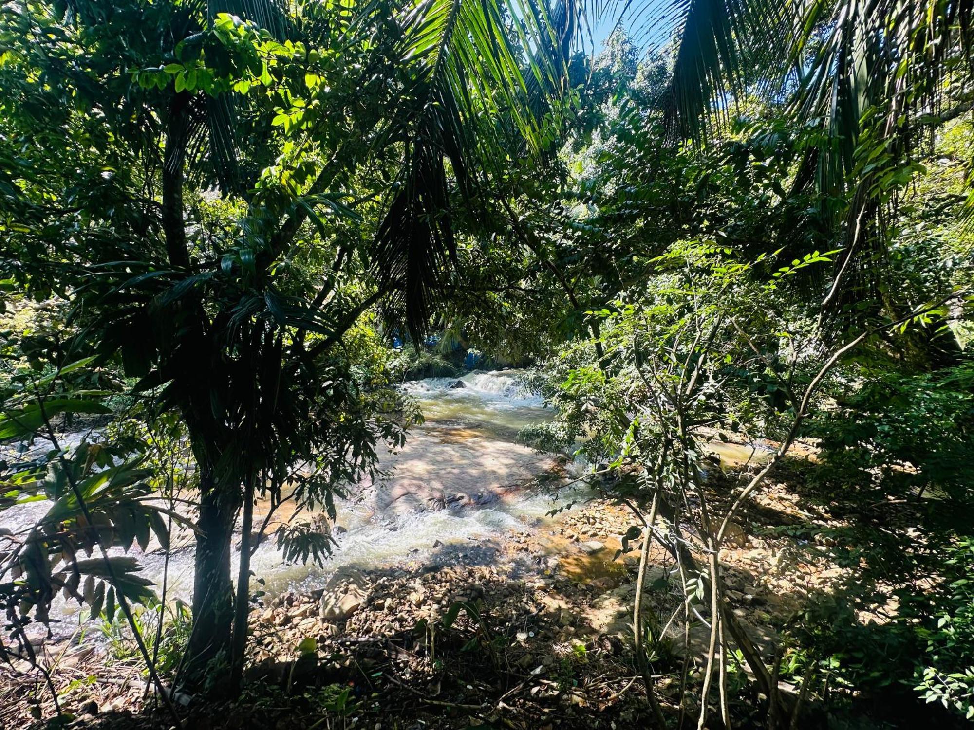 River Splendour Home Stay Ella Exterior foto