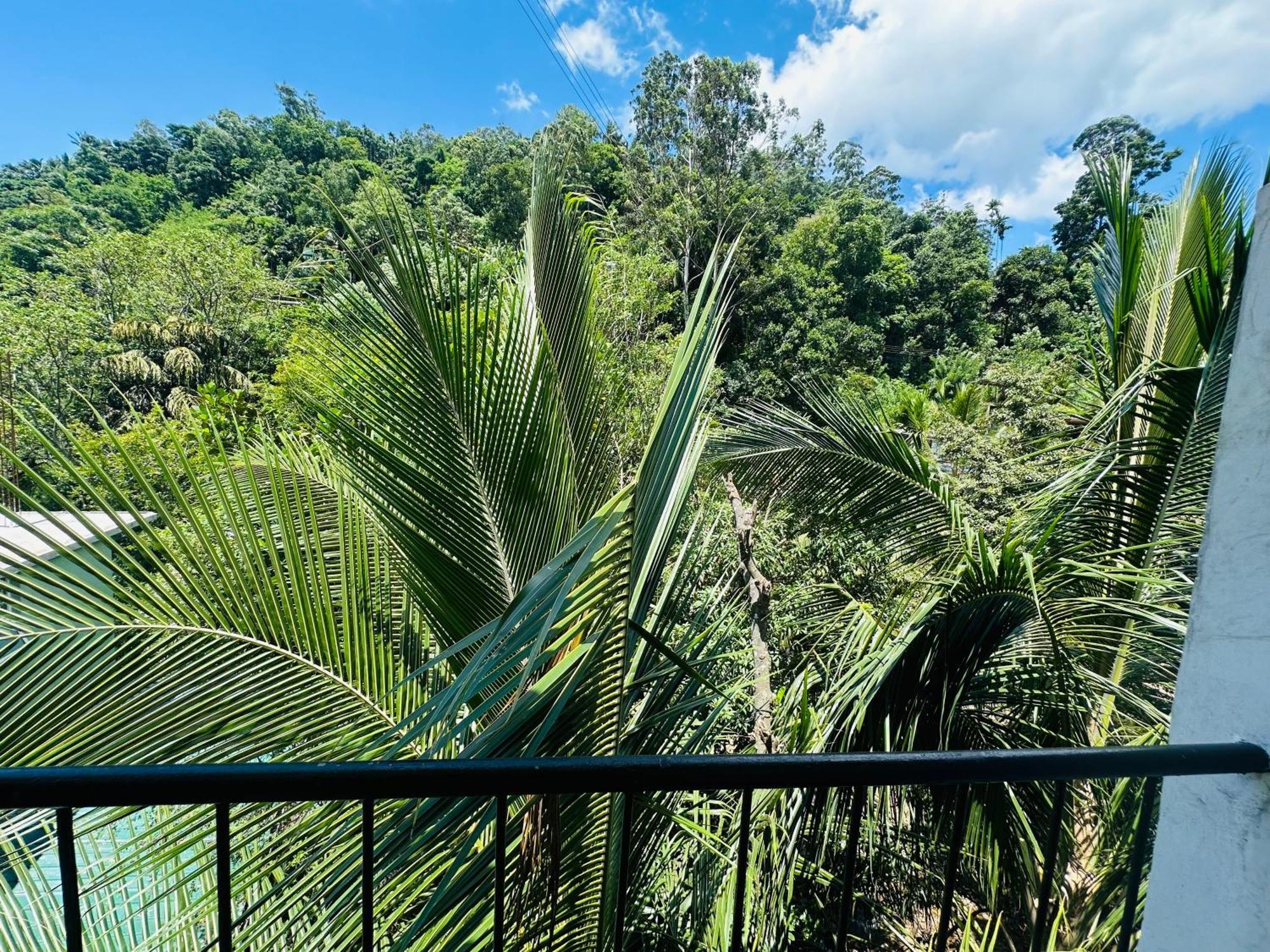 River Splendour Home Stay Ella Exterior foto